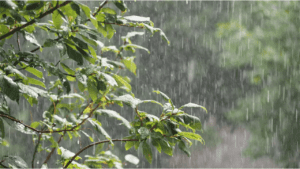 Lucknow to Experience Pleasant Weather with Rain and Thunderstorms in the First Week of May